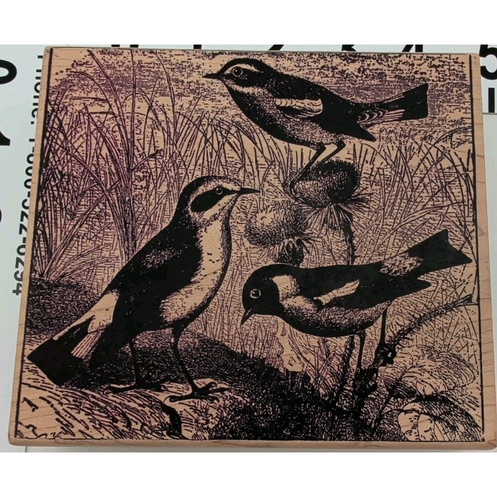 Magenta Rubber Stamp Art Wheatear Whinchit Stonechat Thistle Card Background